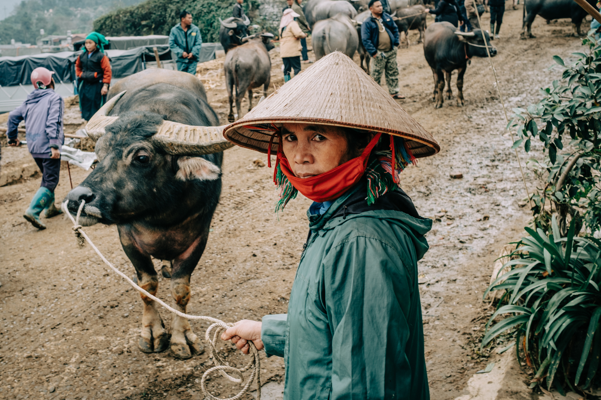 Portrait of a woman at a rural buffalo market in Vietnam – real, raw, unfiltered.