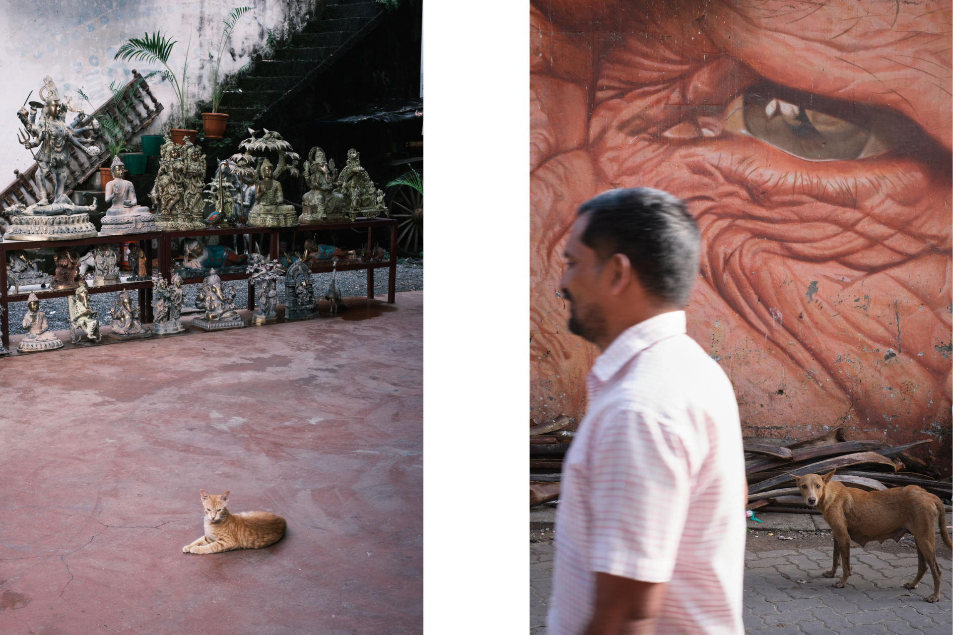 Scenes of Fort Kochi street life featuring a cat beside sculptures and a dog near colorful murals