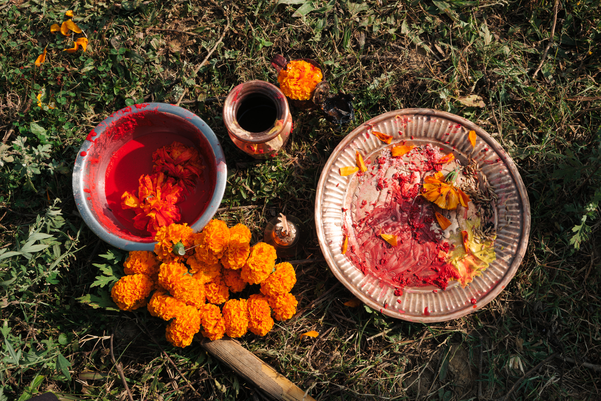 Tihar offering plate with marigold flowers and red pigments on the grass in a rural area