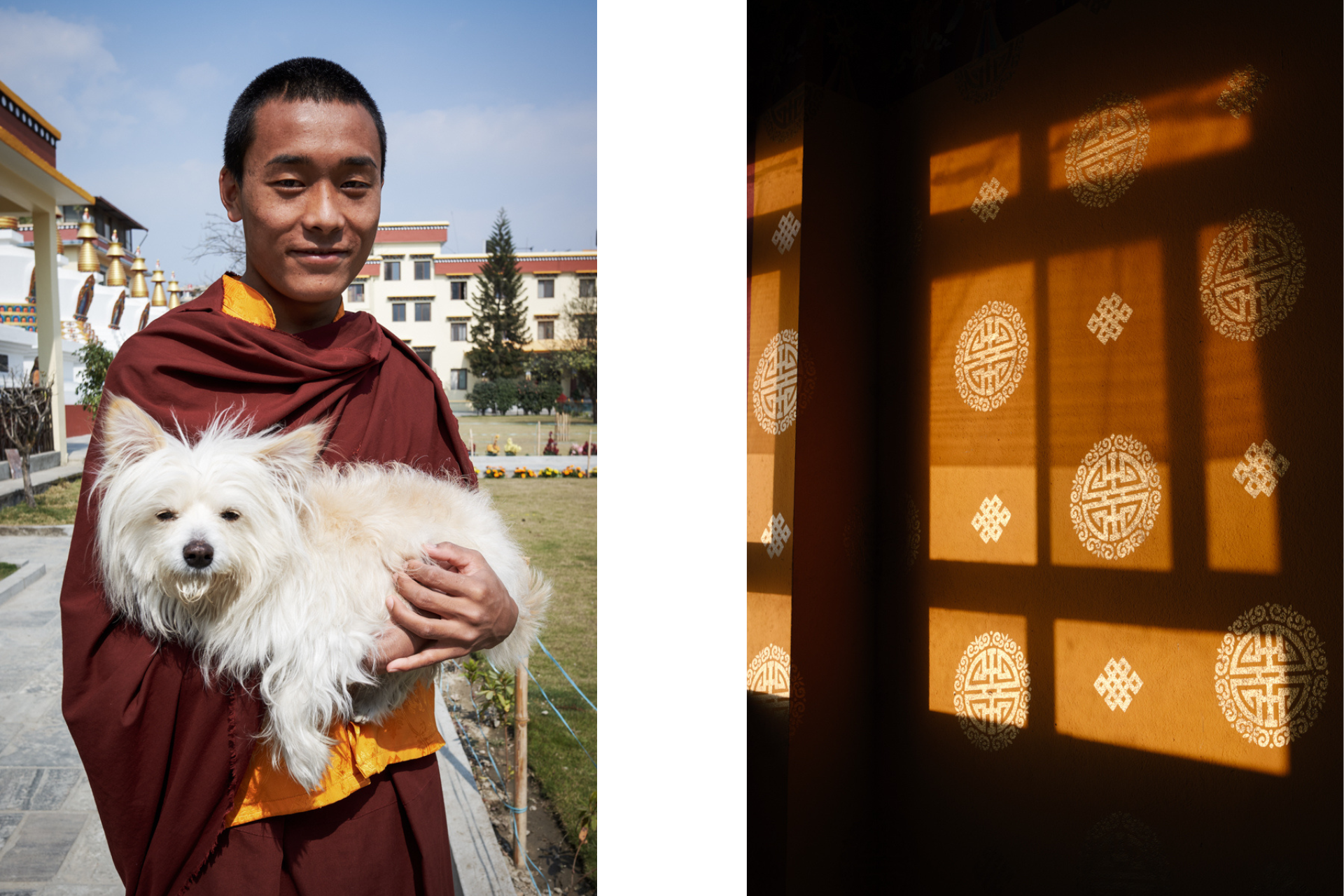 Tibetan monk with his dog and tibetan simbol around the boudhanat stupa
