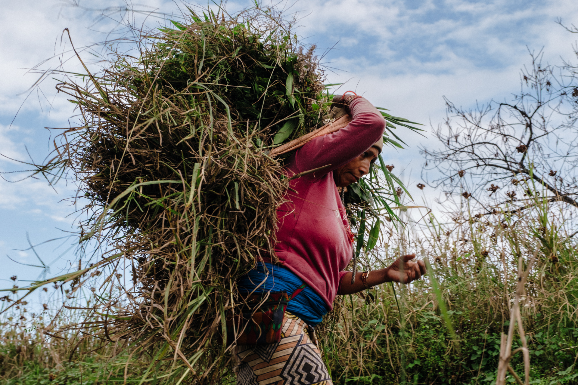Woman carrying a heavy load of grass on her back in Dhampus – daily life in rural Nepal