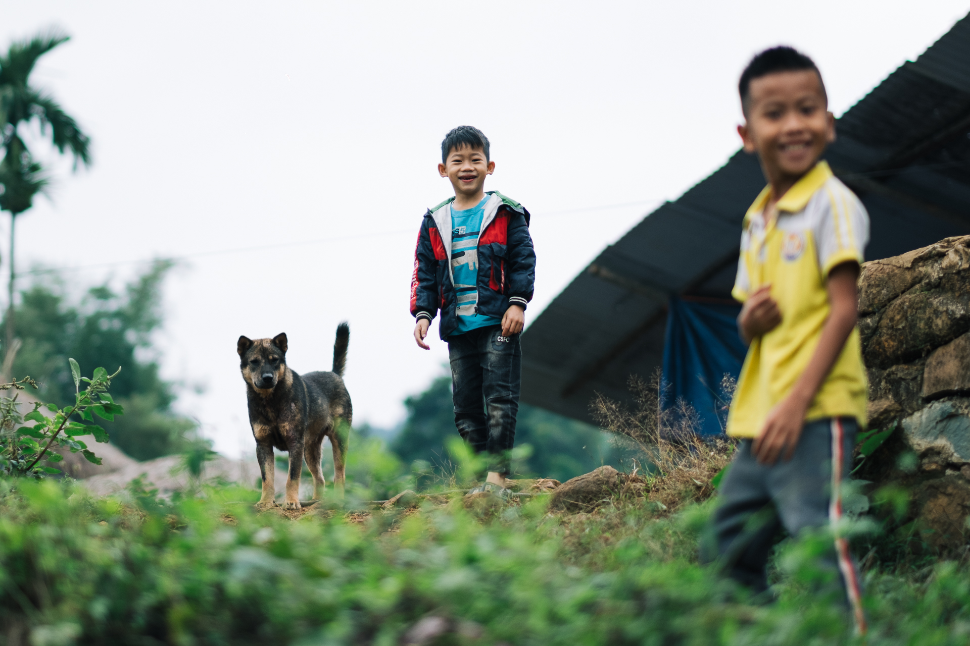 Smiling children and a village dog playing outside a home in Pu Luong, Vietnam.