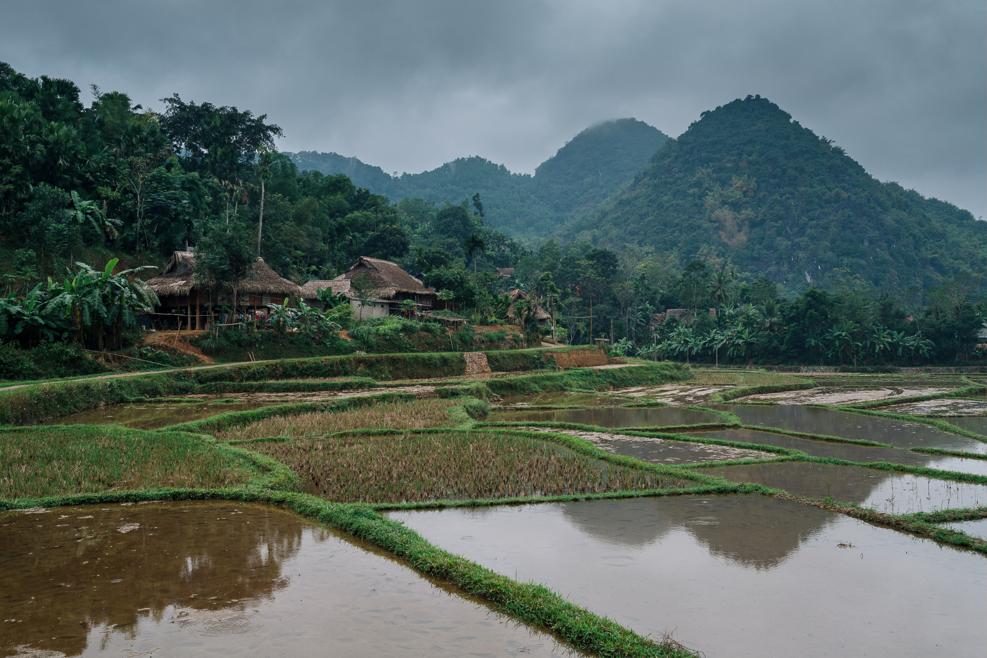Traditional stilt houses and rice paddies at the foot of green mountains in Pu Luong, Vietnam, on a cloudy day.