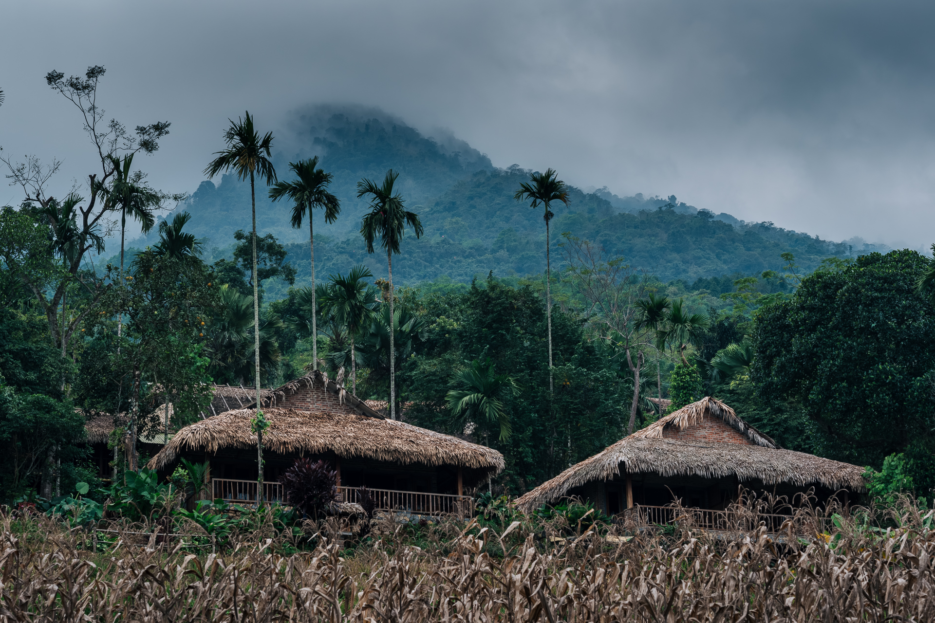 Wooden stilt house surrounded by lush green hills and rice paddies in the heart of Pu Luong, Vietnam.